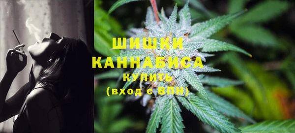 крисы Абдулино