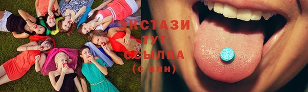 индика Губаха