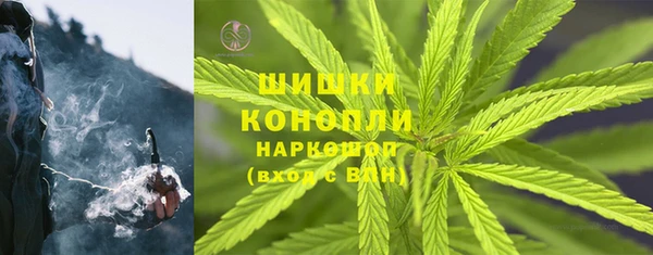 крисы Абдулино