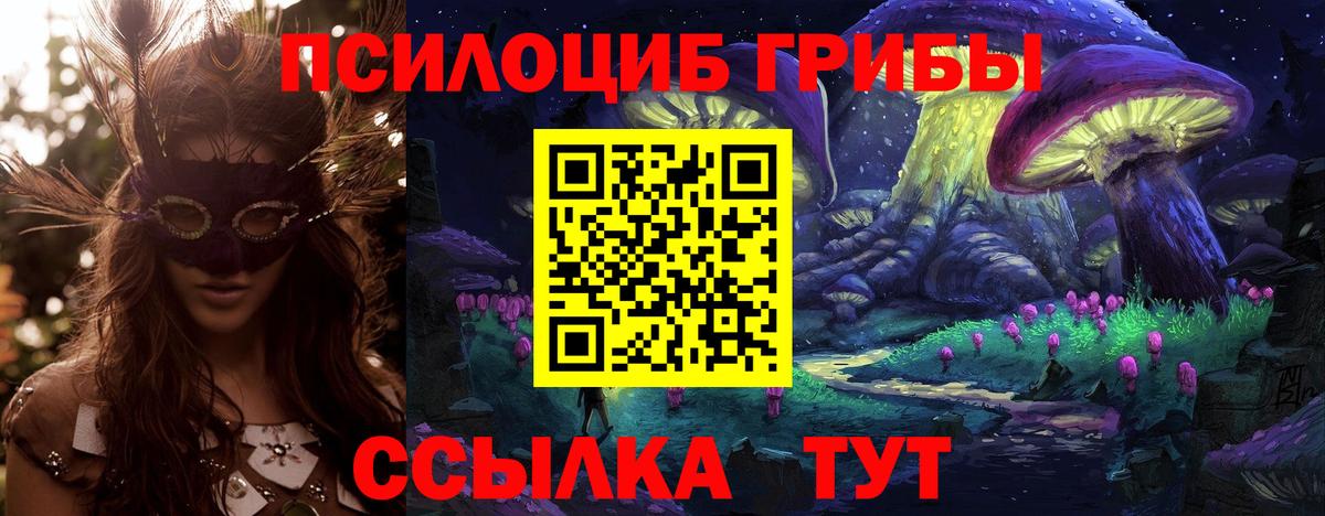 купить наркотики цена  Вход с VPN  Краснокамск  Псилоцибиновые грибы MAGIC MUSHROOMS 